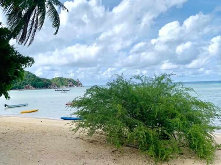 Koh Tao Tropicana Resort Kültér fotó